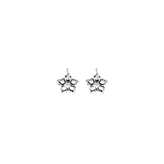 Stapelia earrings