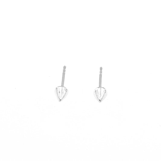 Boucles d'oreilles clous 2